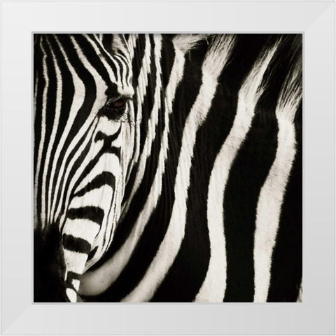 Camouflage I White Modern Wood Framed Art Print by Parker, Susann