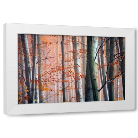 Autumn Woods White Modern Wood Framed Art Print by PhotoINC Studio