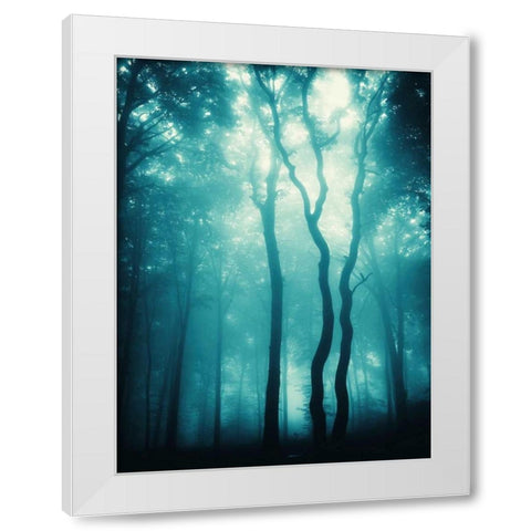 Blue Light Woods White Modern Wood Framed Art Print by PhotoINC Studio