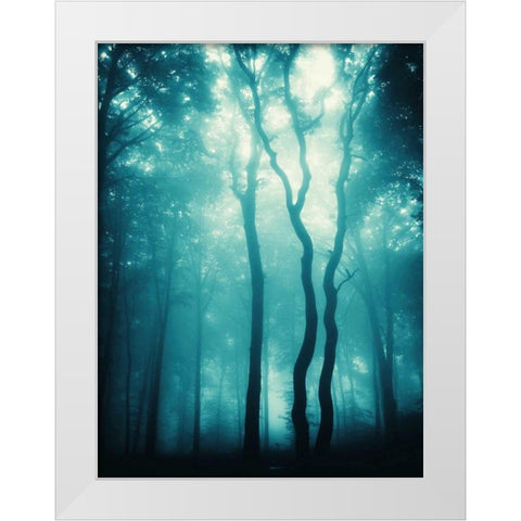 Blue Light Woods White Modern Wood Framed Art Print by PhotoINC Studio