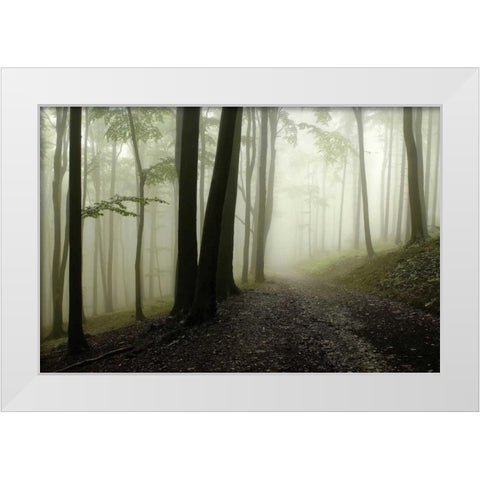 Green Woods 1 White Modern Wood Framed Art Print by PhotoINC Studio