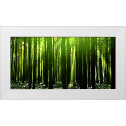 Green Woods 3 White Modern Wood Framed Art Print by PhotoINC Studio