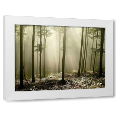 Green Works White Modern Wood Framed Art Print by PhotoINC Studio