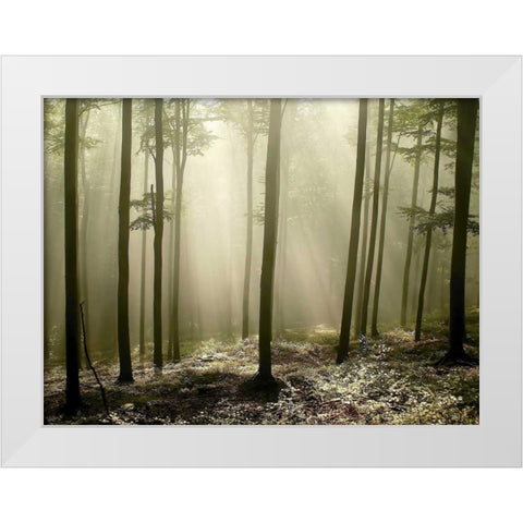 Green Works White Modern Wood Framed Art Print by PhotoINC Studio