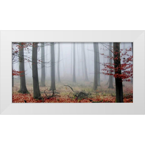 Misty Woods White Modern Wood Framed Art Print by PhotoINC Studio