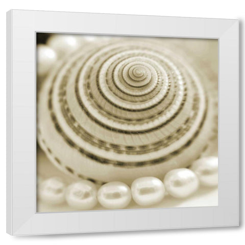 Shells and Pearls 1 White Modern Wood Framed Art Print by PhotoINC Studio