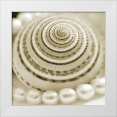 Shells and Pearls 1 White Modern Wood Framed Art Print by PhotoINC Studio
