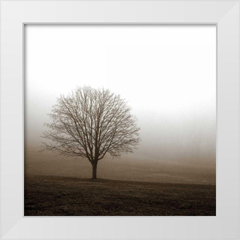 Tree in Mist 1 White Modern Wood Framed Art Print by PhotoINC Studio