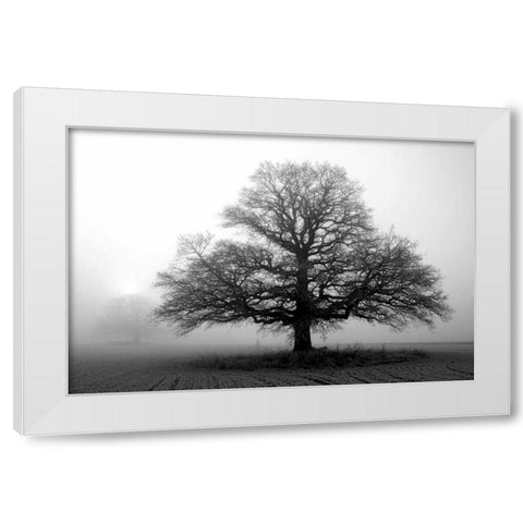 Tree in Mist 2 White Modern Wood Framed Art Print by PhotoINC Studio