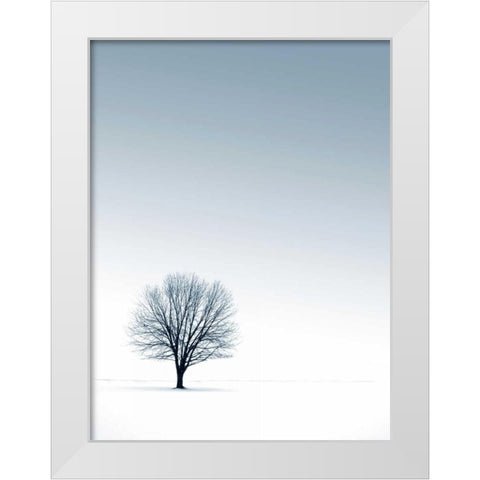 Tree in Winterscape White Modern Wood Framed Art Print by PhotoINC Studio