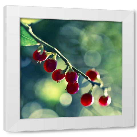 Luscious White Modern Wood Framed Art Print by Price, Melanie Alexandra