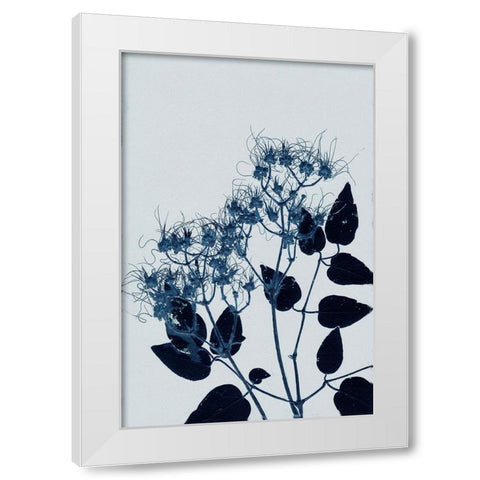 Clematis 1 Blue White Modern Wood Framed Art Print by Folcarelli, Pernille