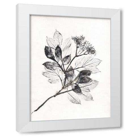 Elder BW White Modern Wood Framed Art Print by Folcarelli, Pernille