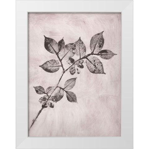 Elm 1 Brown White Modern Wood Framed Art Print by Folcarelli, Pernille