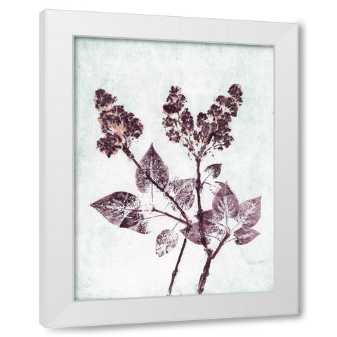 Lilac 1 Aqua Plum White Modern Wood Framed Art Print by Folcarelli, Pernille