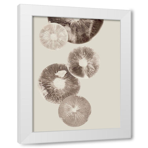 Mushroom 6 Light Brown White Modern Wood Framed Art Print by Folcarelli, Pernille