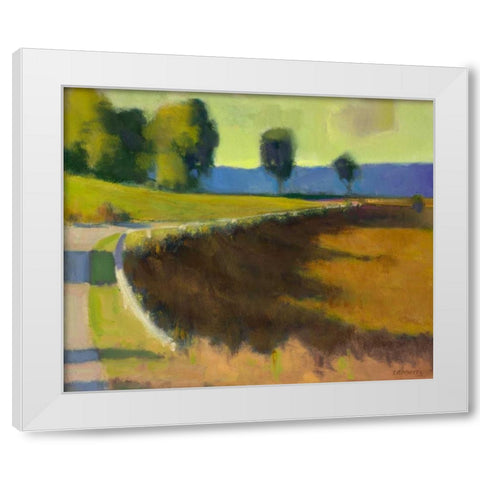Late Afternoon at The Pyrenees White Modern Wood Framed Art Print by Roberts, Ian