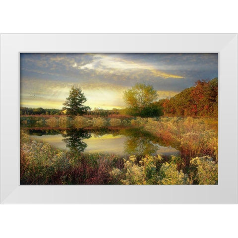 Arrival of Dawn White Modern Wood Framed Art Print by Rivera, John