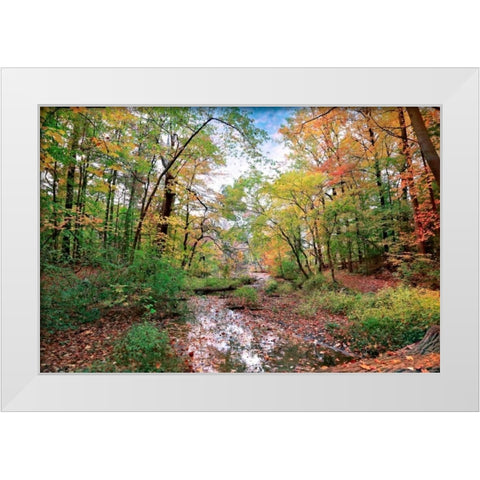 Autumn at Hopkins Pond White Modern Wood Framed Art Print by Rivera, John