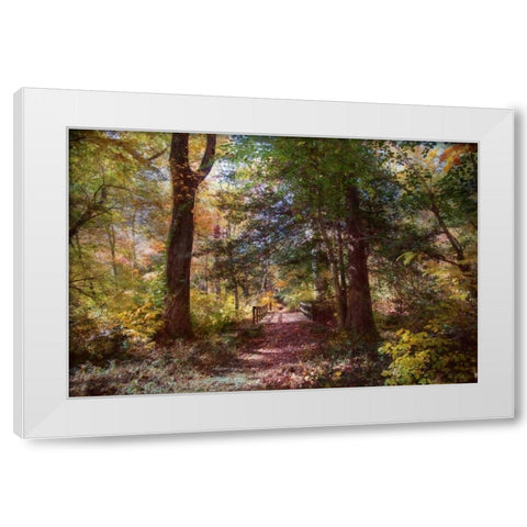 Berlin Park White Modern Wood Framed Art Print by Rivera, John