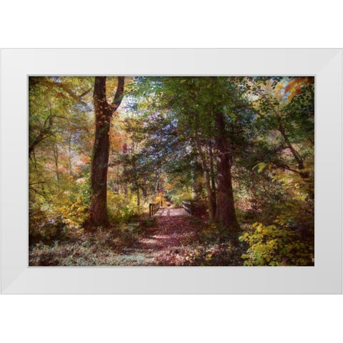 Berlin Park White Modern Wood Framed Art Print by Rivera, John