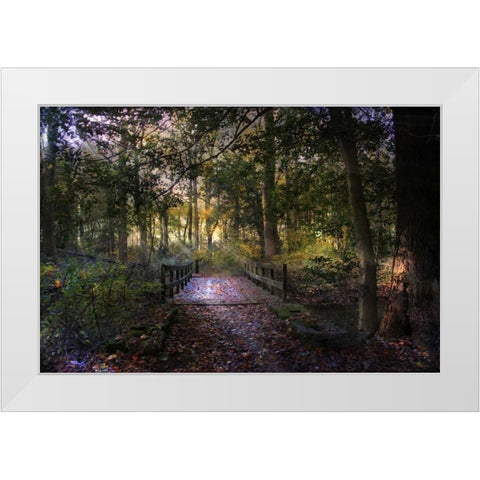 Beyond The Wooden Bridge White Modern Wood Framed Art Print by Rivera, John