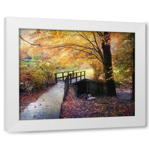 Foot Bridge White Modern Wood Framed Art Print by Rivera, John