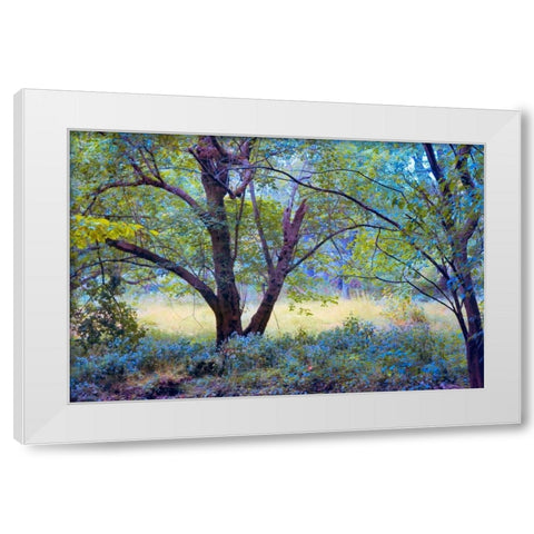 Forgotten Day Dreams White Modern Wood Framed Art Print by Rivera, John