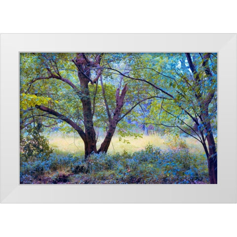 Forgotten Day Dreams White Modern Wood Framed Art Print by Rivera, John