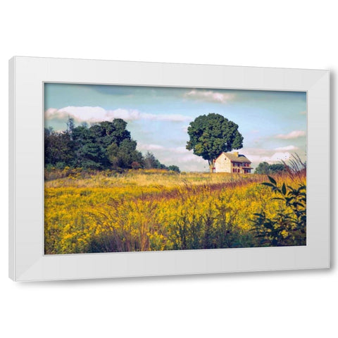 House on a Hill White Modern Wood Framed Art Print by Rivera, John