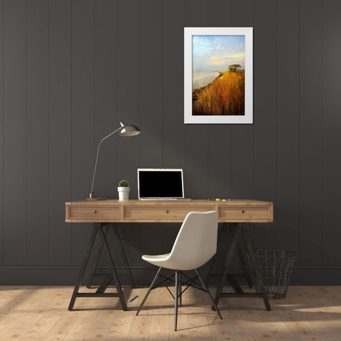 Morning Has Broken White Modern Wood Framed Art Print by Rivera, John