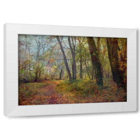 Poetic Season White Modern Wood Framed Art Print by Rivera, John