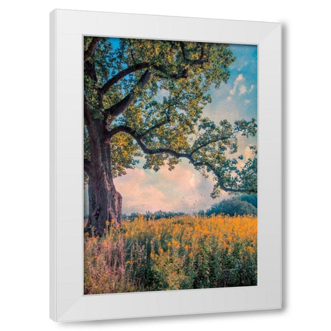 Where I Daydream White Modern Wood Framed Art Print by Rivera, John