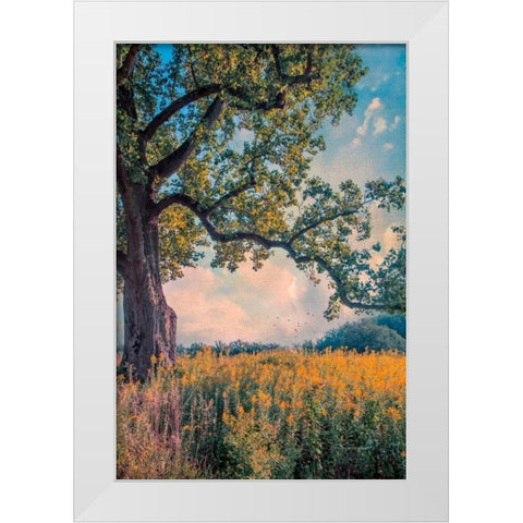 Where I Daydream White Modern Wood Framed Art Print by Rivera, John