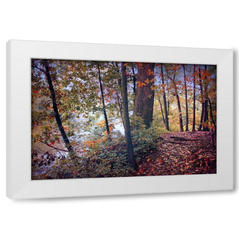 Season of Colors White Modern Wood Framed Art Print by Rivera, John