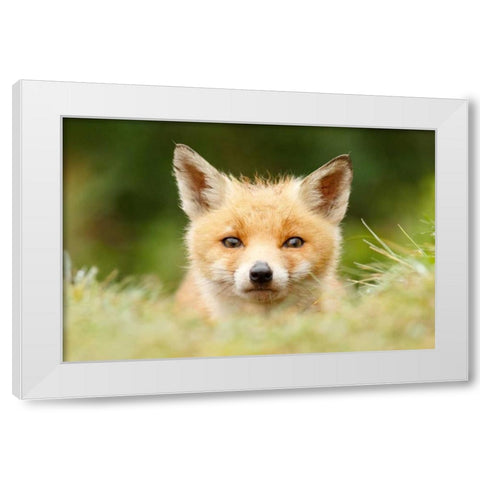 Bad Fur Day White Modern Wood Framed Art Print by Raimond, Roeselien