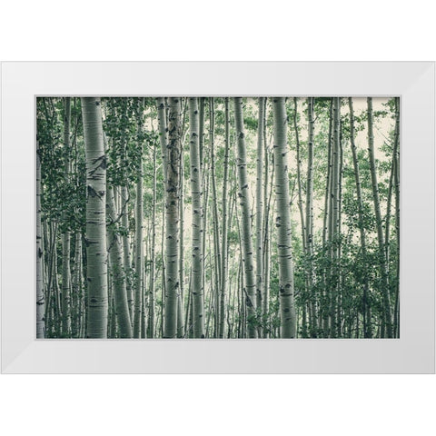 Obscured By Alters White Modern Wood Framed Art Print by Rogers, Eunika