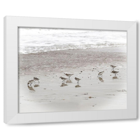 Sandpipers White Modern Wood Framed Art Print by Ryan, Brooke T.