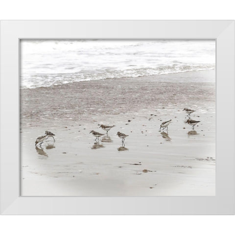 Sandpipers White Modern Wood Framed Art Print by Ryan, Brooke T.