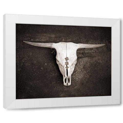 Sepia Cattle Skull White Modern Wood Framed Art Print by Ryan, Brooke T.
