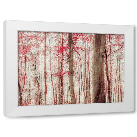 Pink And Brown Fantasy Forest White Modern Wood Framed Art Print by Ryan, Brooke T.
