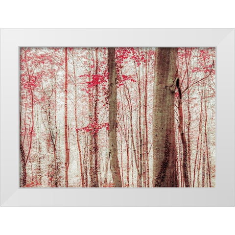 Pink And Brown Fantasy Forest White Modern Wood Framed Art Print by Ryan, Brooke T.