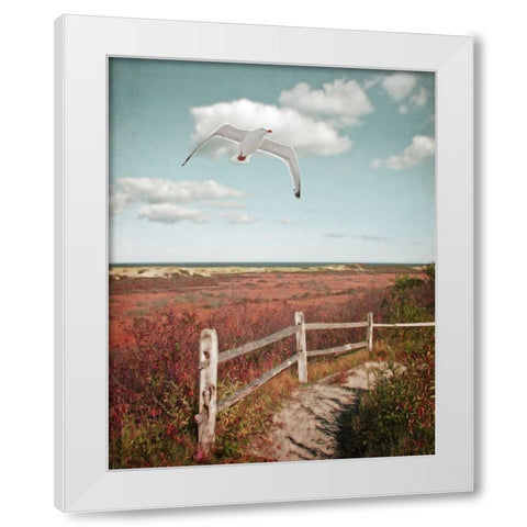 Gull over Coastal Trail White Modern Wood Framed Art Print by Ryan, Brooke T.
