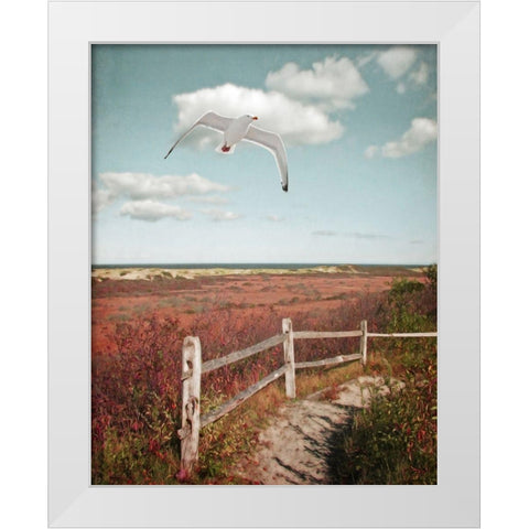 Gull over Coastal Trail White Modern Wood Framed Art Print by Ryan, Brooke T.