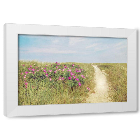 Beach Roses White Modern Wood Framed Art Print by Ryan, Brooke T.