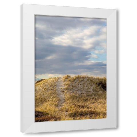 Dunes Trail White Modern Wood Framed Art Print by Ryan, Brooke T.