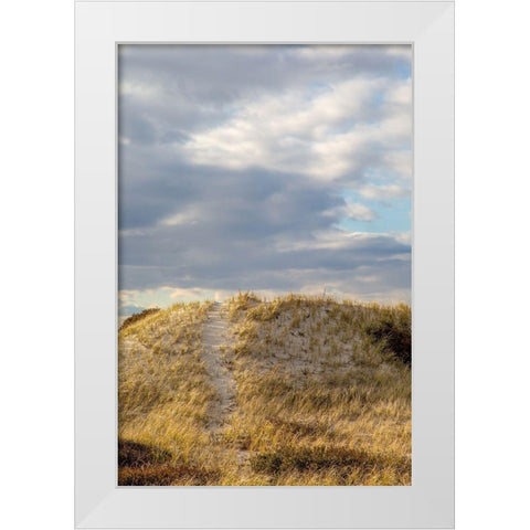 Dunes Trail White Modern Wood Framed Art Print by Ryan, Brooke T.