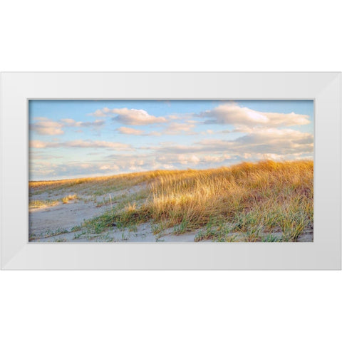 Grassy Dunes Panorama White Modern Wood Framed Art Print by Ryan, Brooke T.