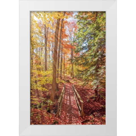 Forest Bridge White Modern Wood Framed Art Print by Ryan, Brooke T.