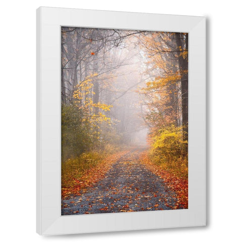 Road and Autumn Mist White Modern Wood Framed Art Print by Ryan, Brooke T.